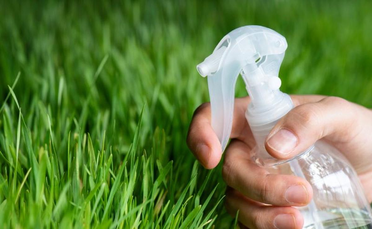 Los recortes de césped pueden usarse para preparar tu propio fertilizante líquido