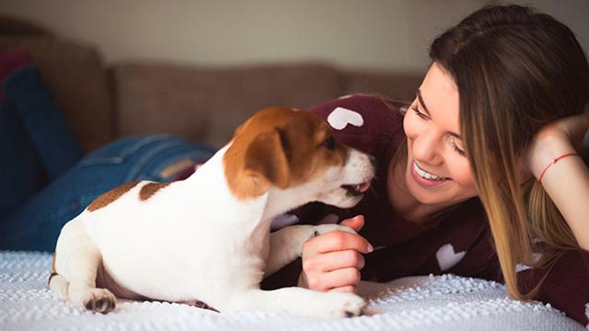 Antes de regalar una mascota por Navidad ten en cuenta estos aspectos.