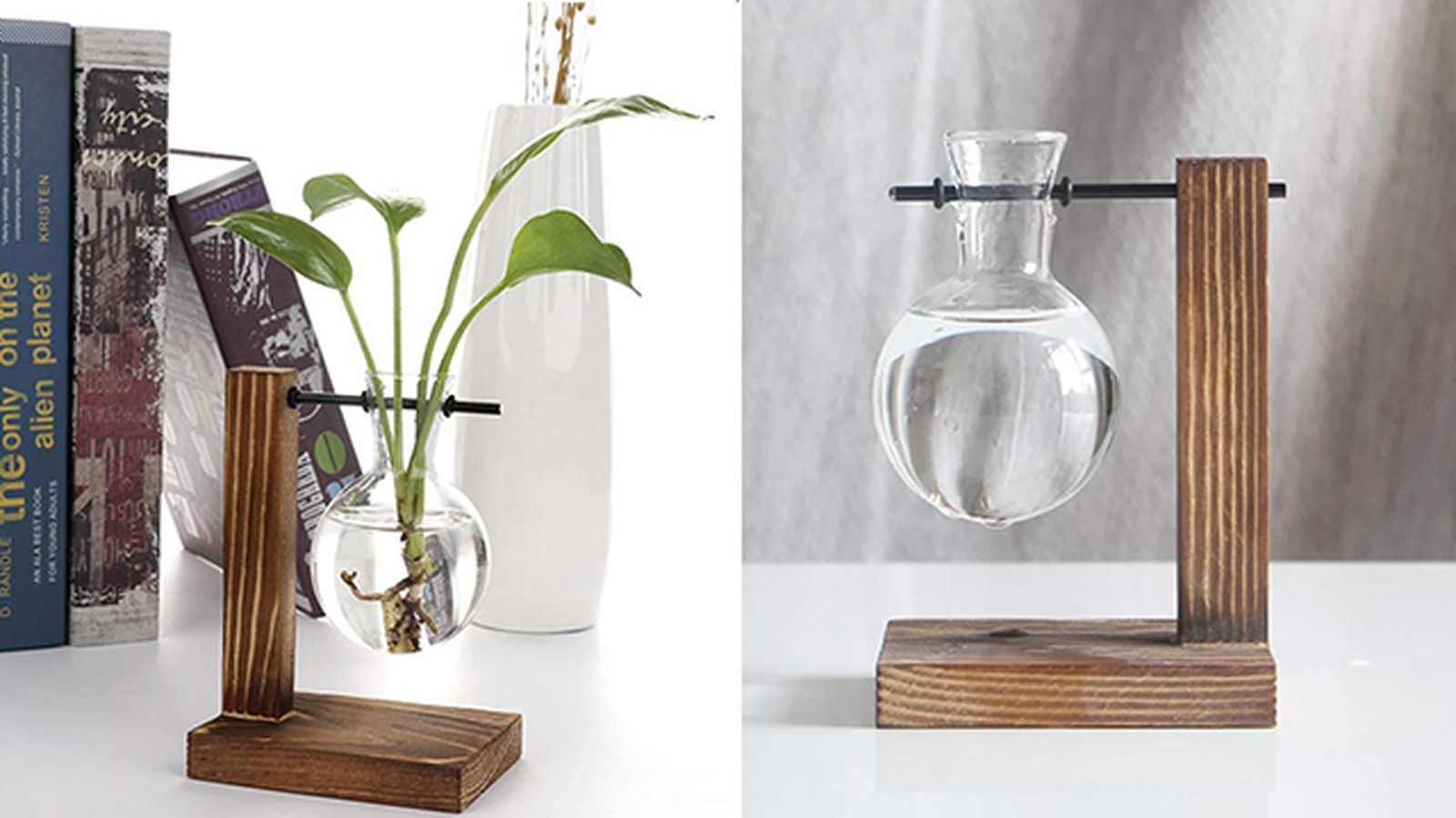 regalos amantes jardineria jarron plantas agua