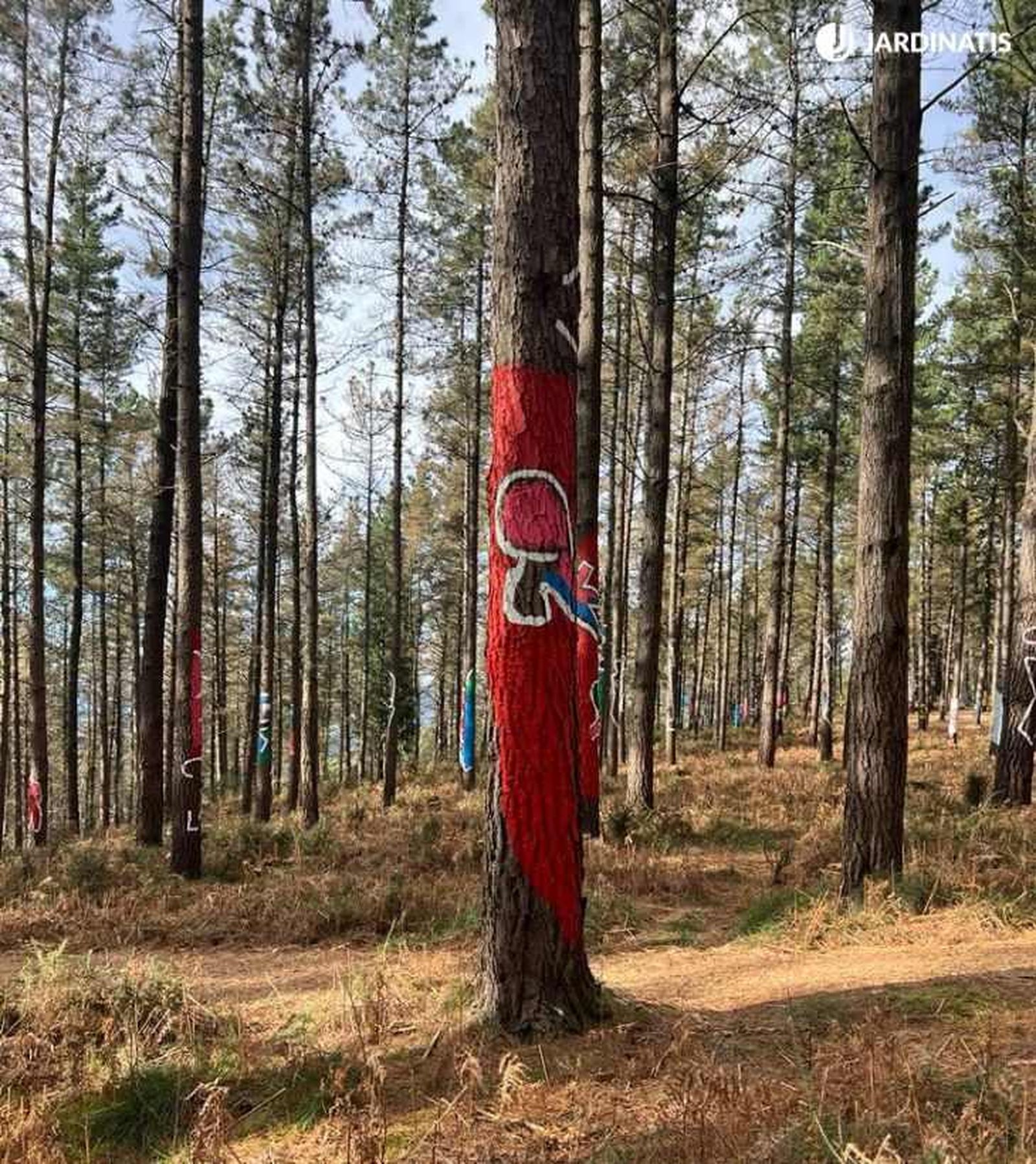 Nuevo Bosque de Oma