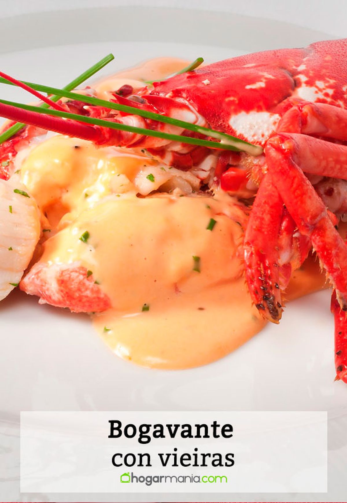 bogavante vieiras pin