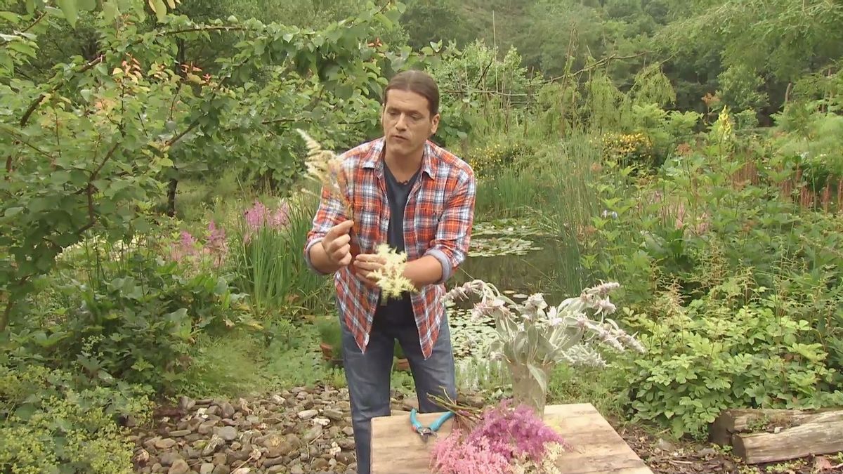 deco 0703 astilbes floracion