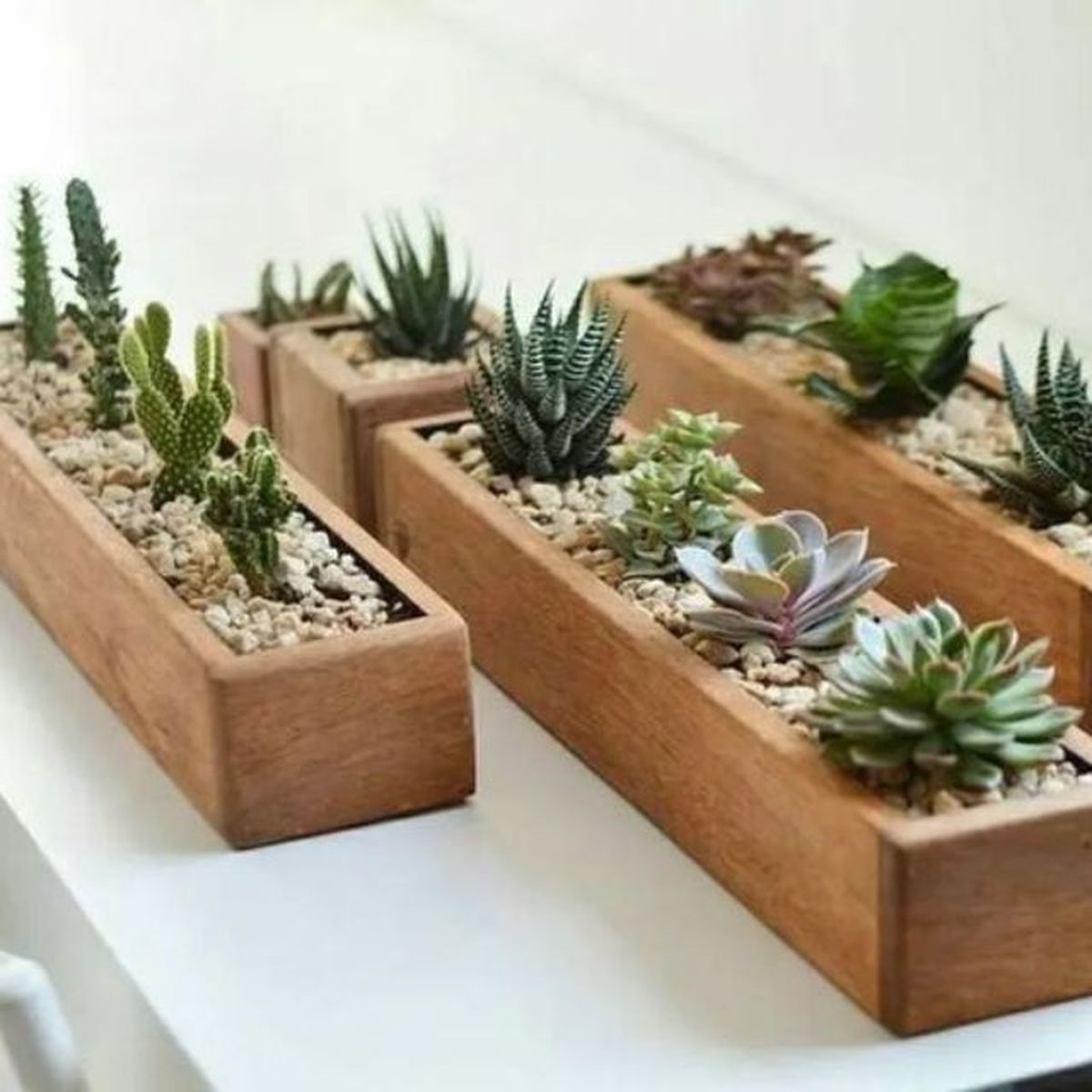 centro mesa suculentas pinterest