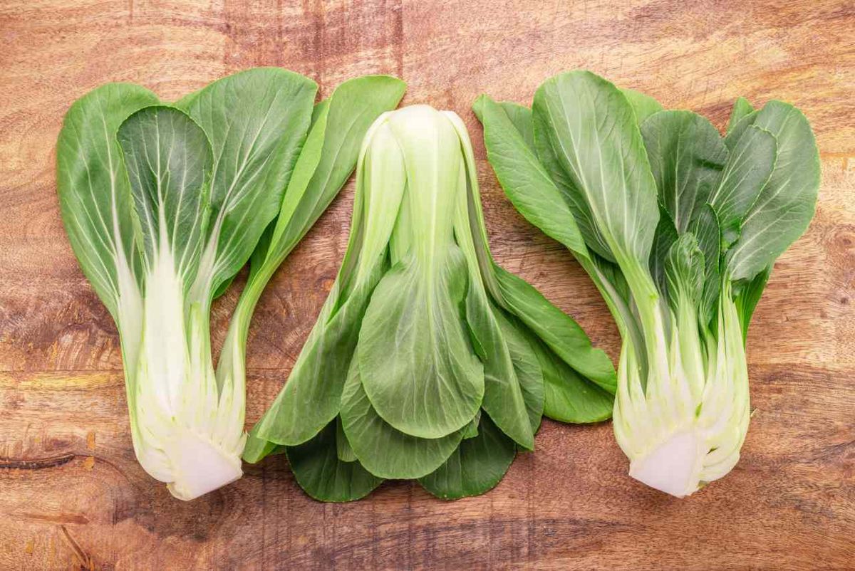 El pak choi o bok choy es una verdura asiática parecida a la acelga