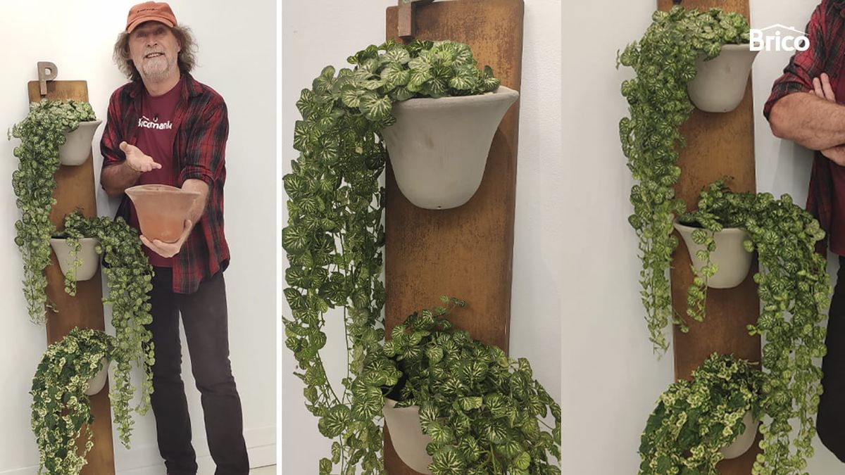 Bricomania 35 macetero pared 14