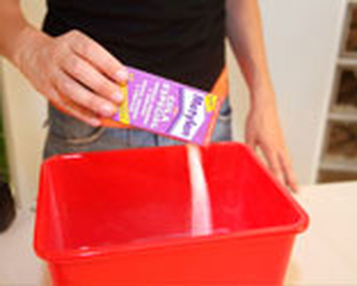 541 Colocar papel pintado vinilico p5