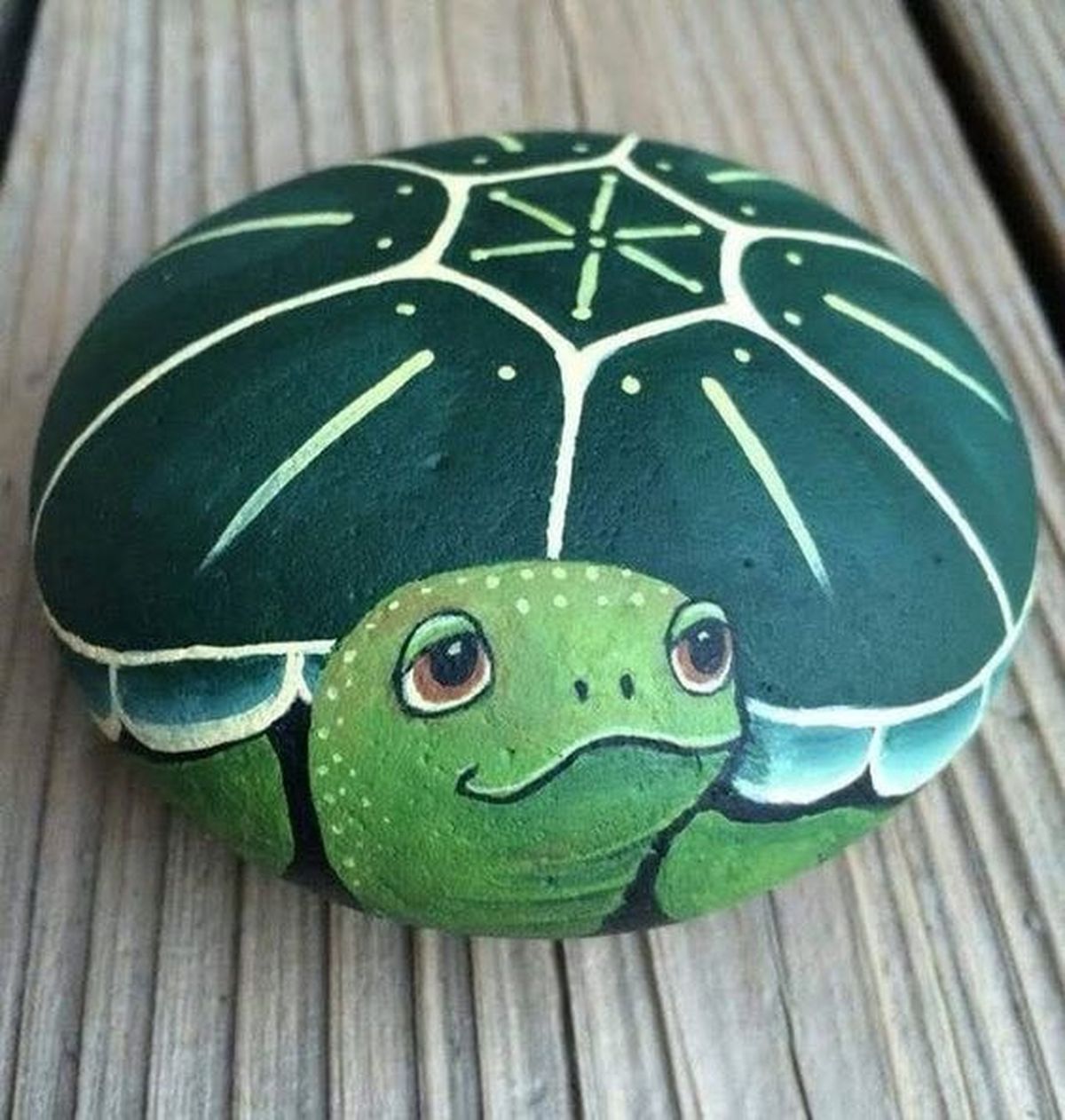 piedras pintadas jardin tortuga pinterest