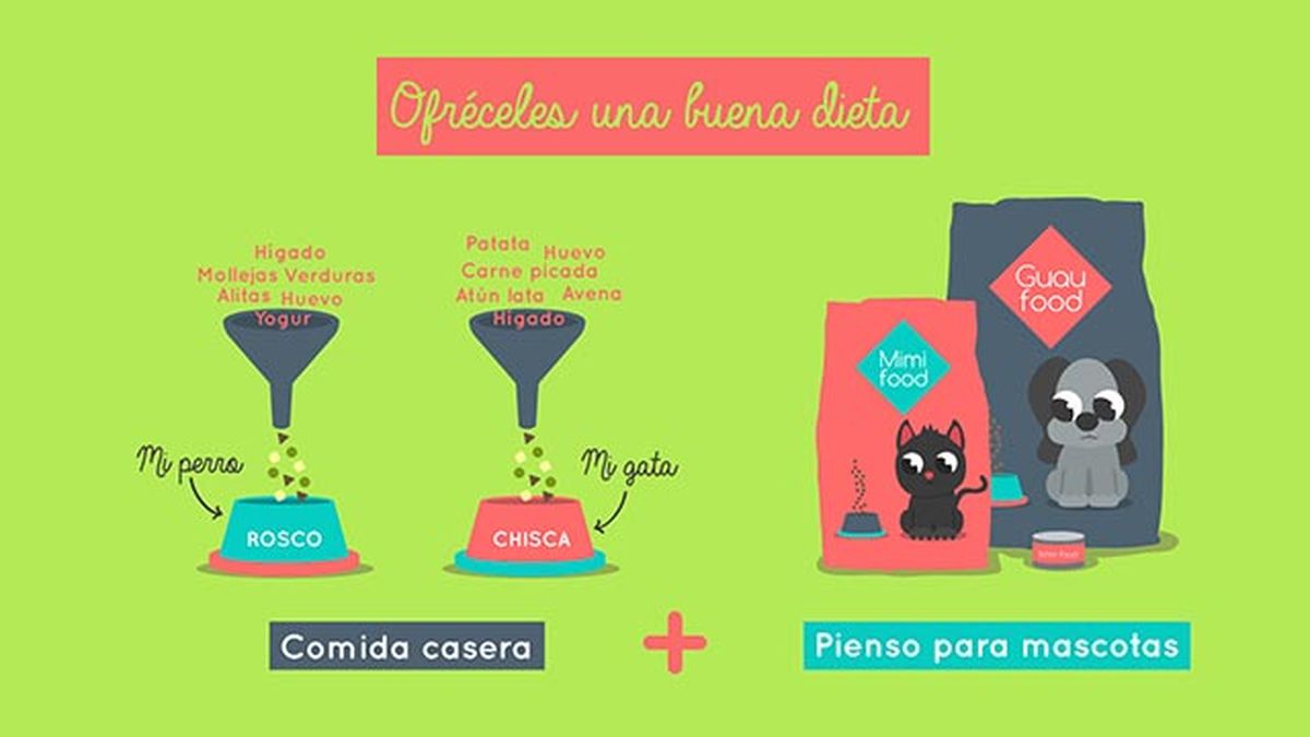 muda pelo mascotas dieta