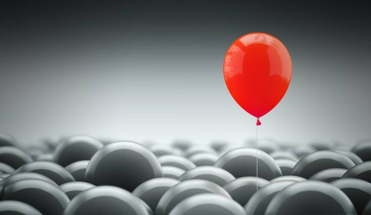 Toma nota y di adiós a los molestos pelos de tus mascotas en el automóvil.