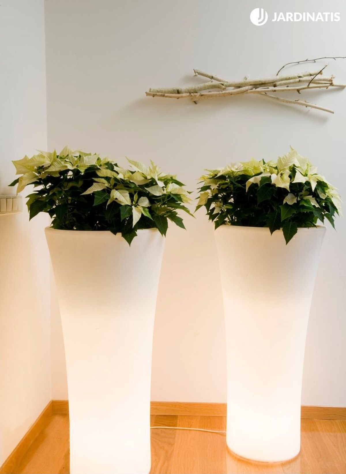 Varas de abedul junto a flores de Pascua blancas