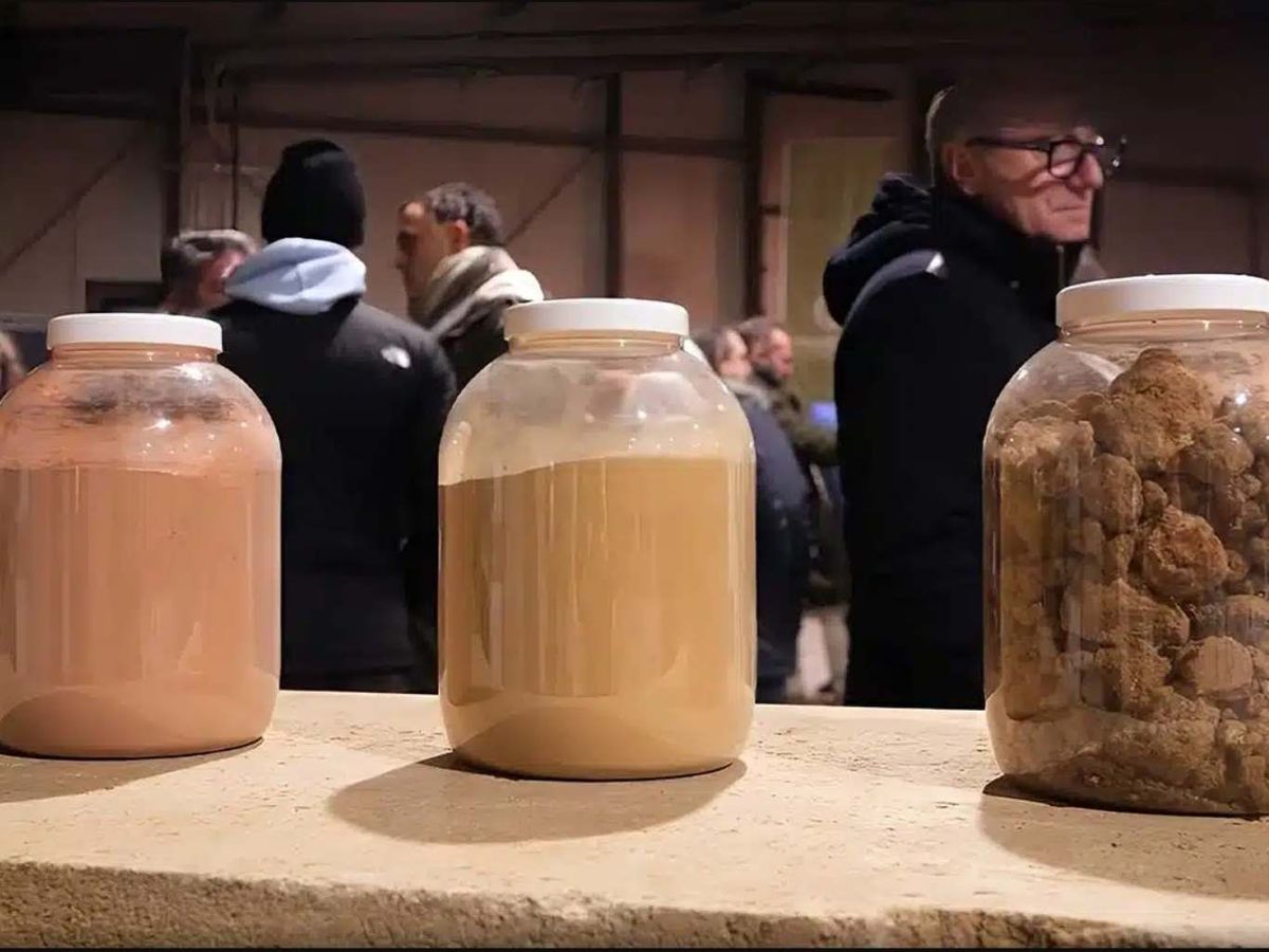 Cemento ecológico de arcilla