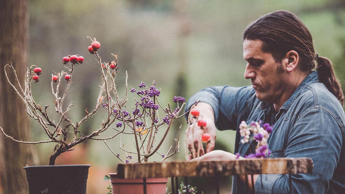 brico 972 jardin bayas invernales atipicas