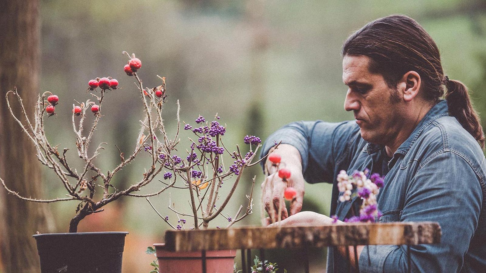 brico 972 jardin bayas invernales atipicas