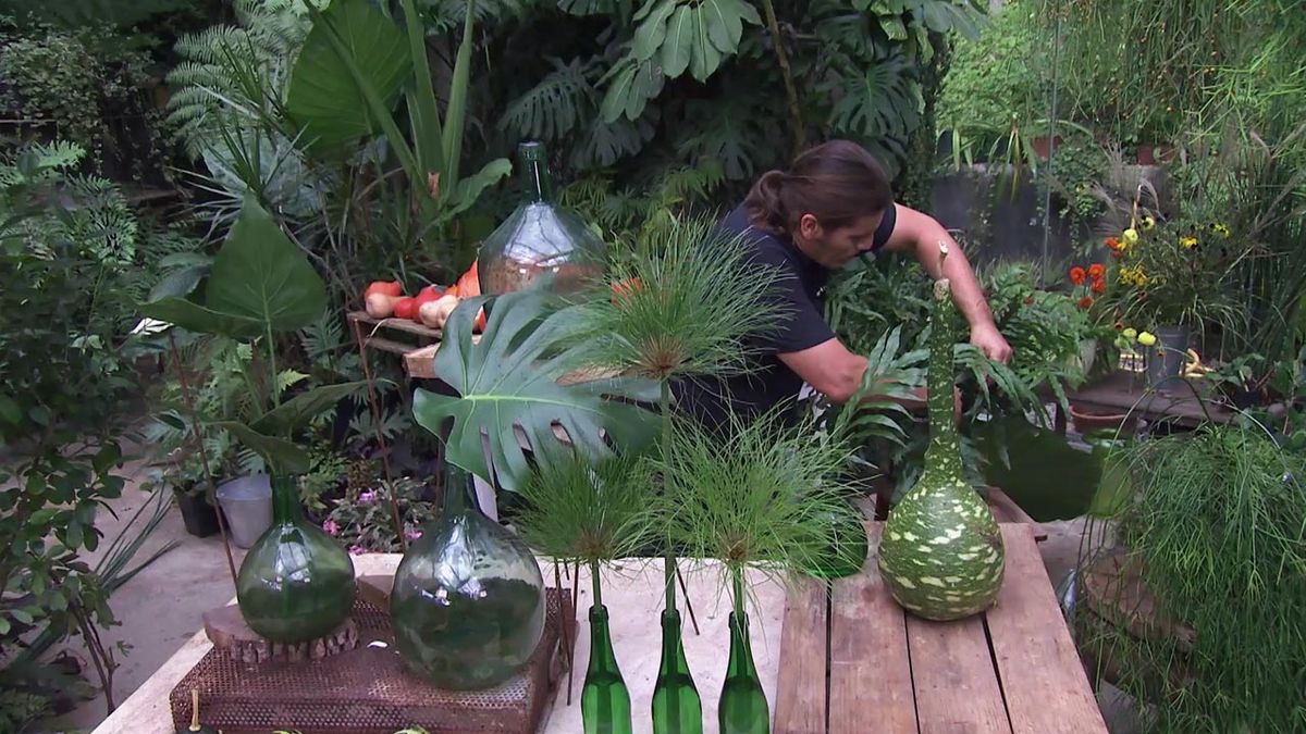 deco 750 jardin arreglos florales hojas grandes