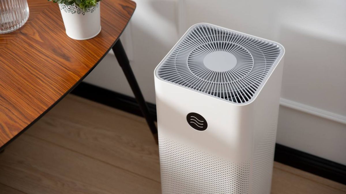 purificador aire xl 1