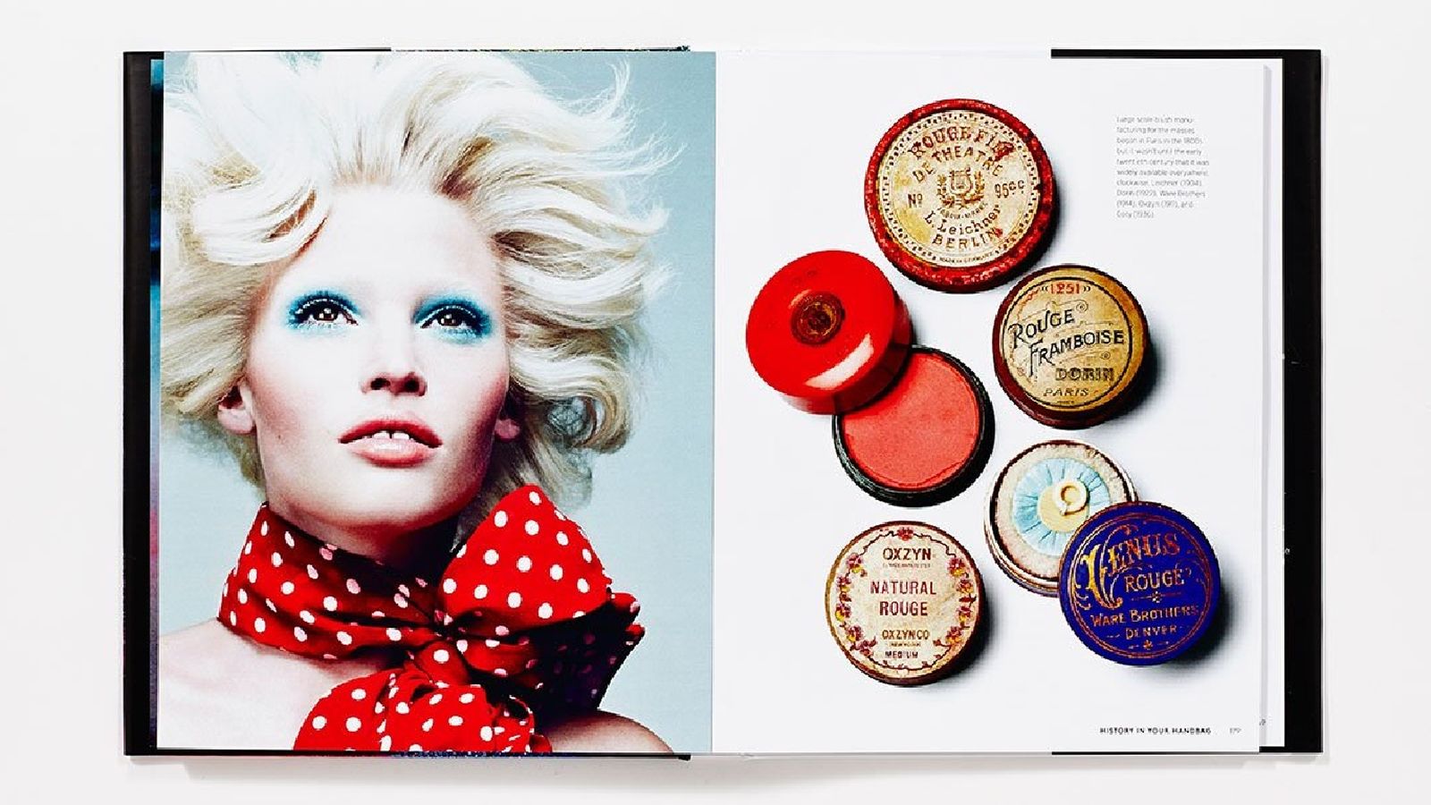 Interior del libro Face Paint: The Story of Makeup