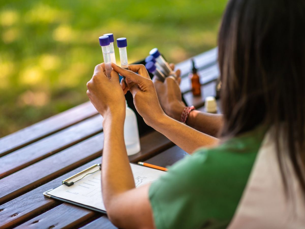 El pH del suelo tiene un impacto directo en la química del suelo.