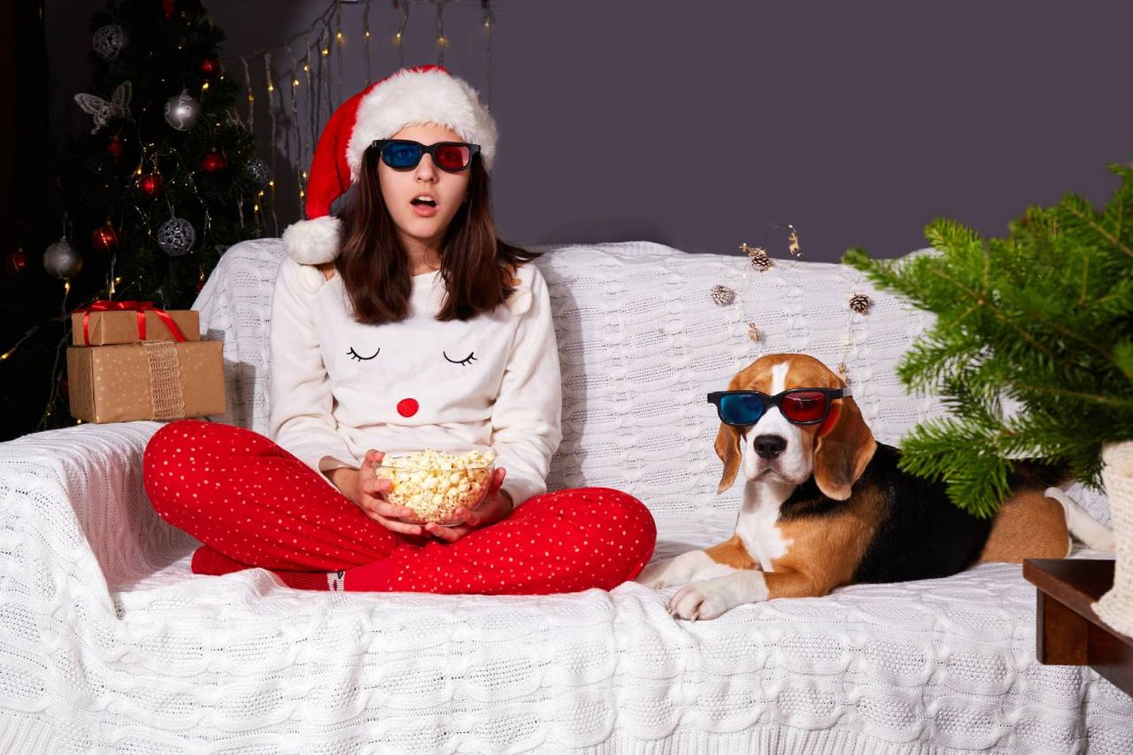 Una selección de las mejores películas navideñas para visionar y disfrutar junto a tu perro.