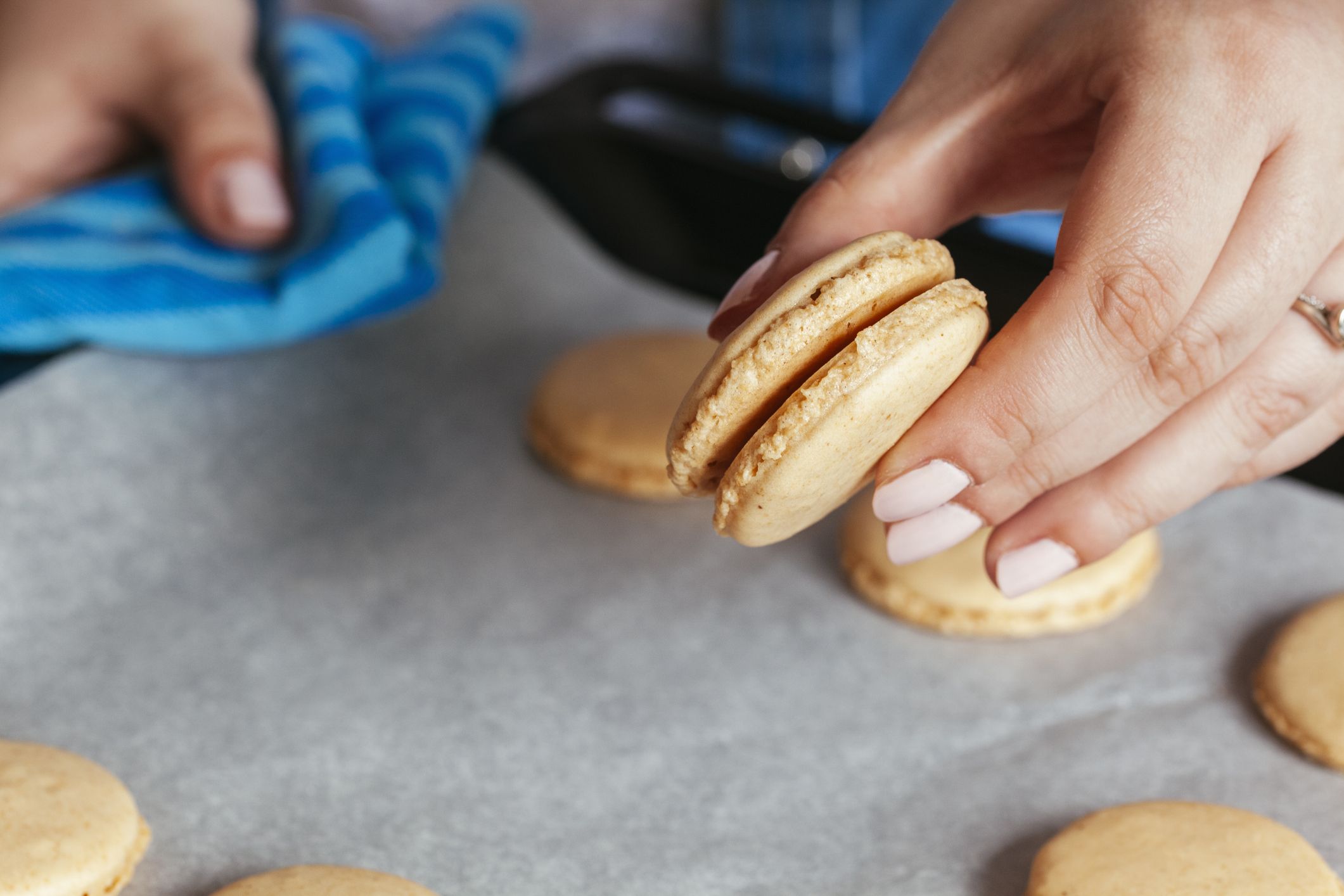 macaroon