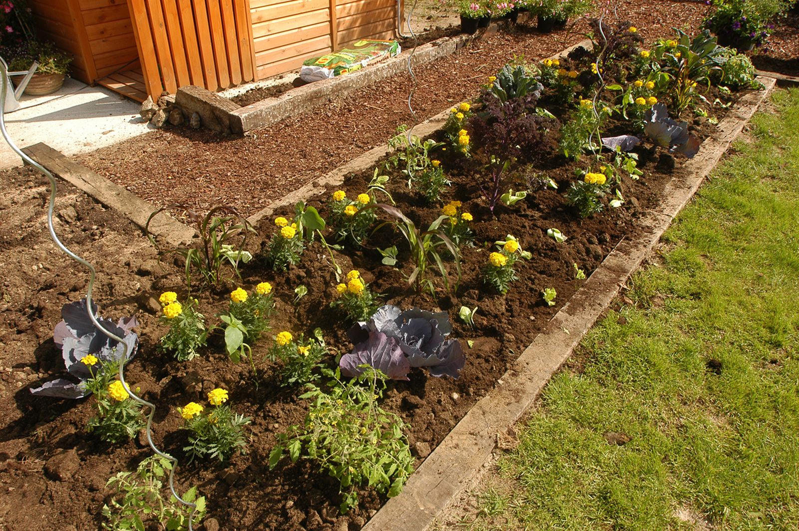 brico 0376 3 como hacer huerto plantas ornamentales xl