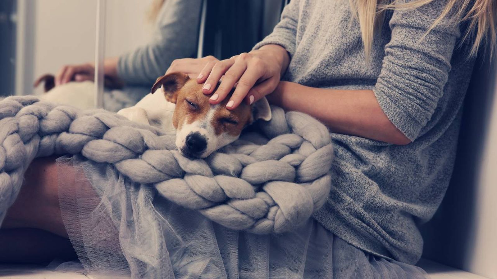 La experiencia de compartir tu vida con un perro puede ser maravillosa y satisfactoria