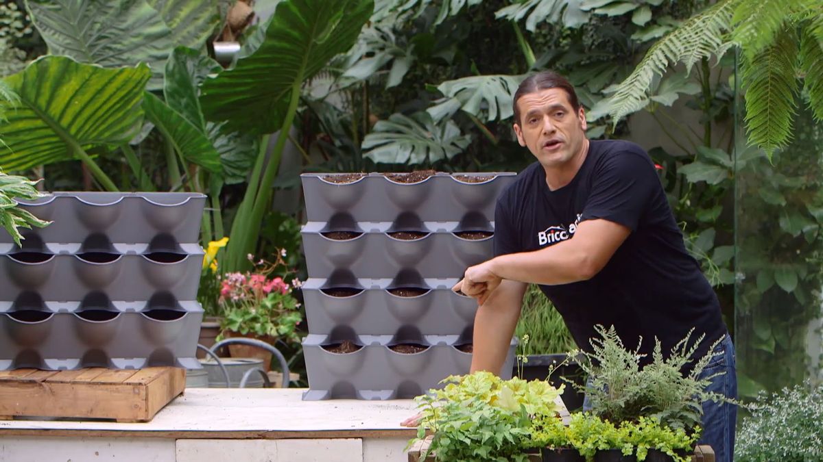 brico 955 3 jardin vertical pared norte kit sistema riego