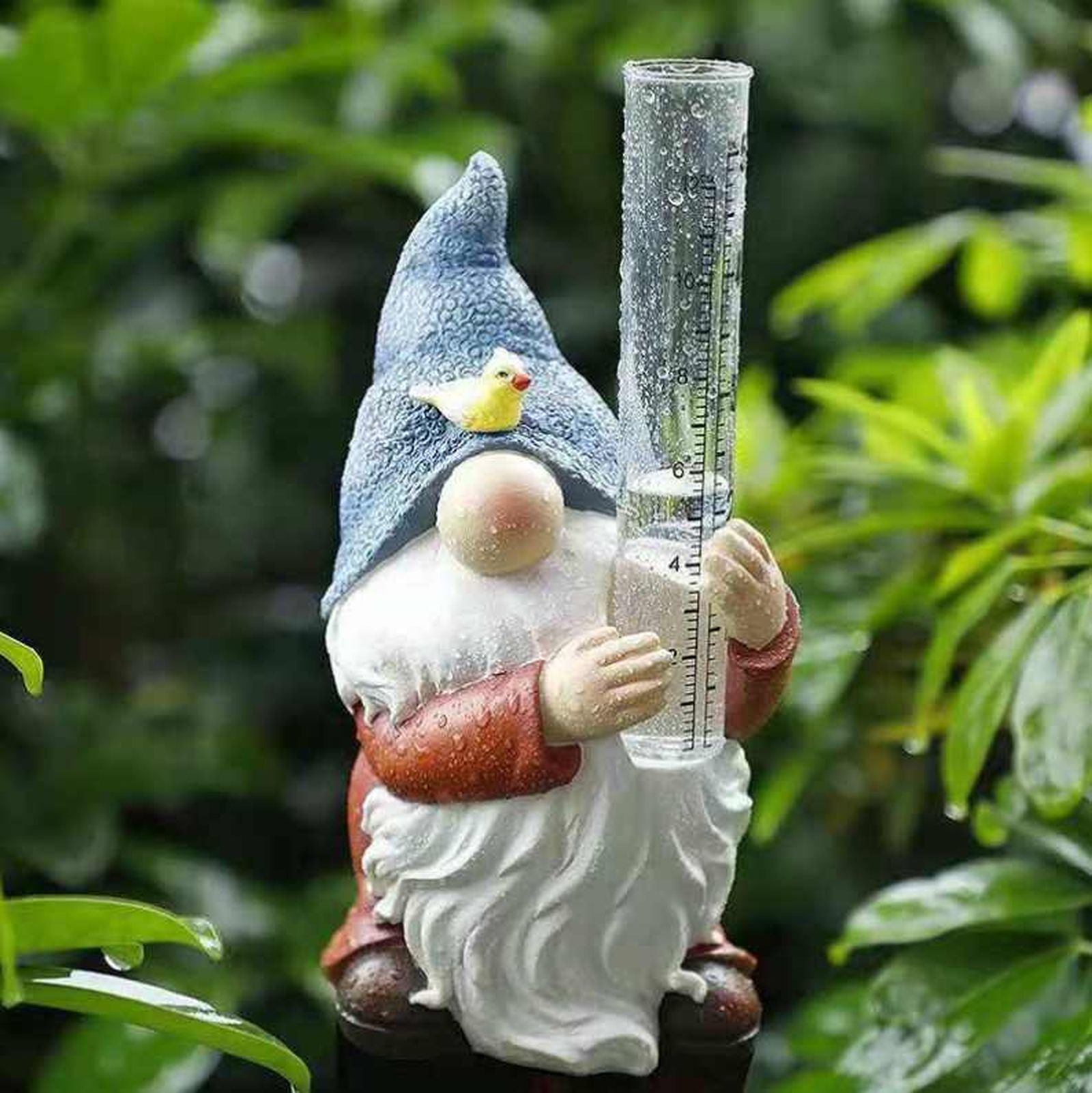 gnomos de jardin 1