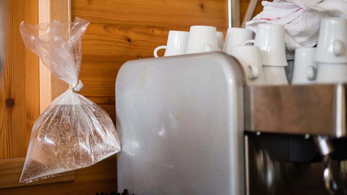 trampas caseras para ahuyentar moscas casa