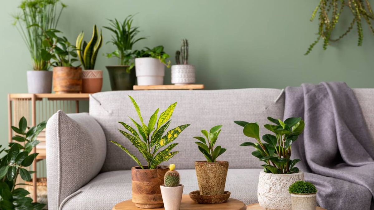 Las paredes en verde suave, como el pistacho, combinan a la perfección con textiles neutros.