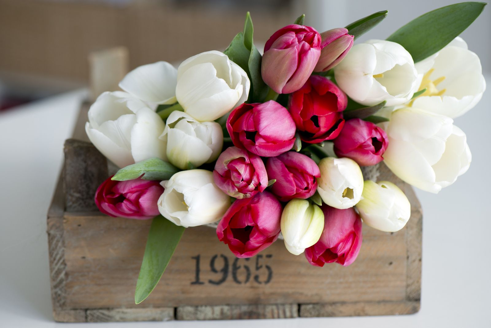 floresboda18