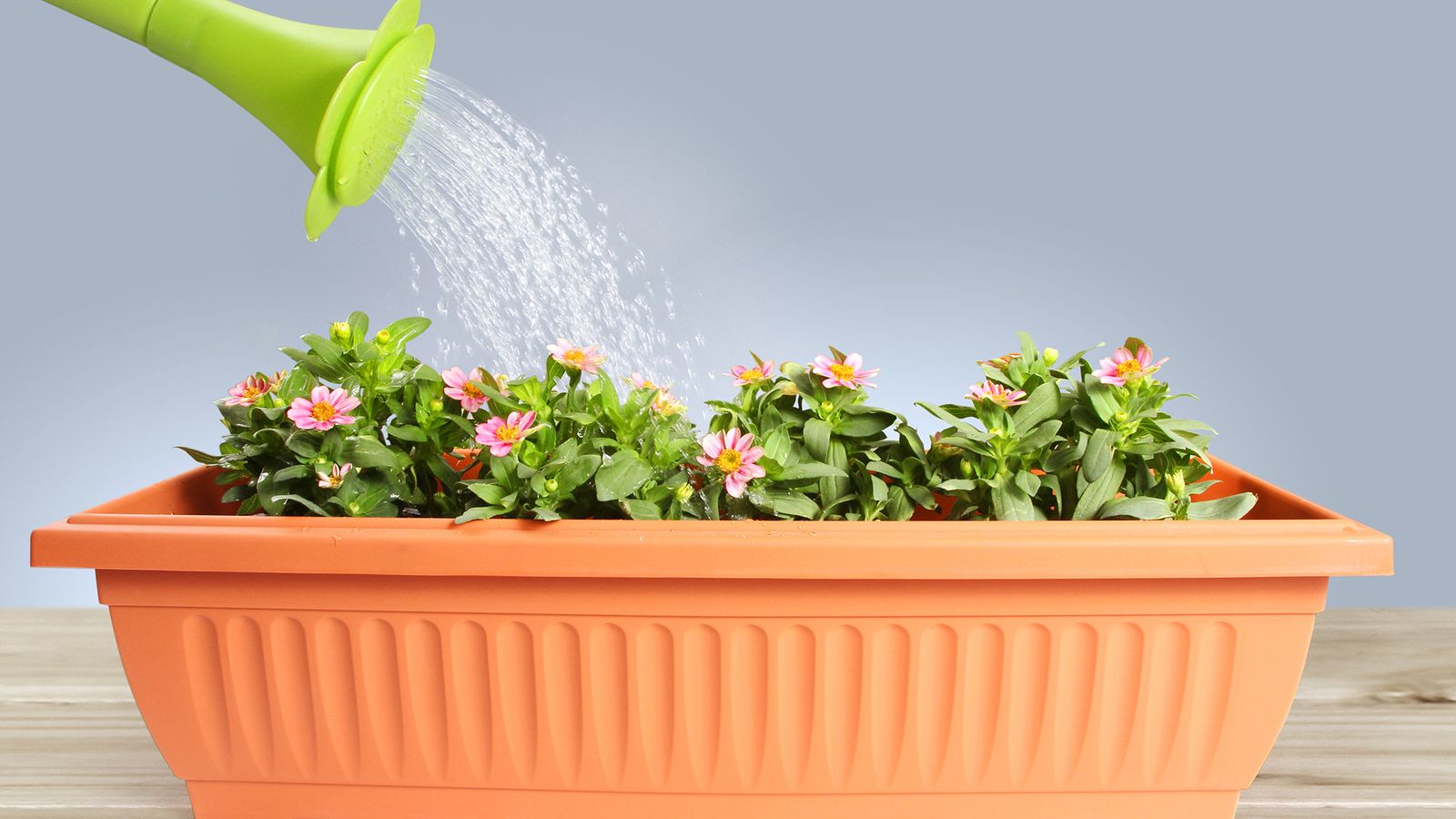 jardin hidrojardineras