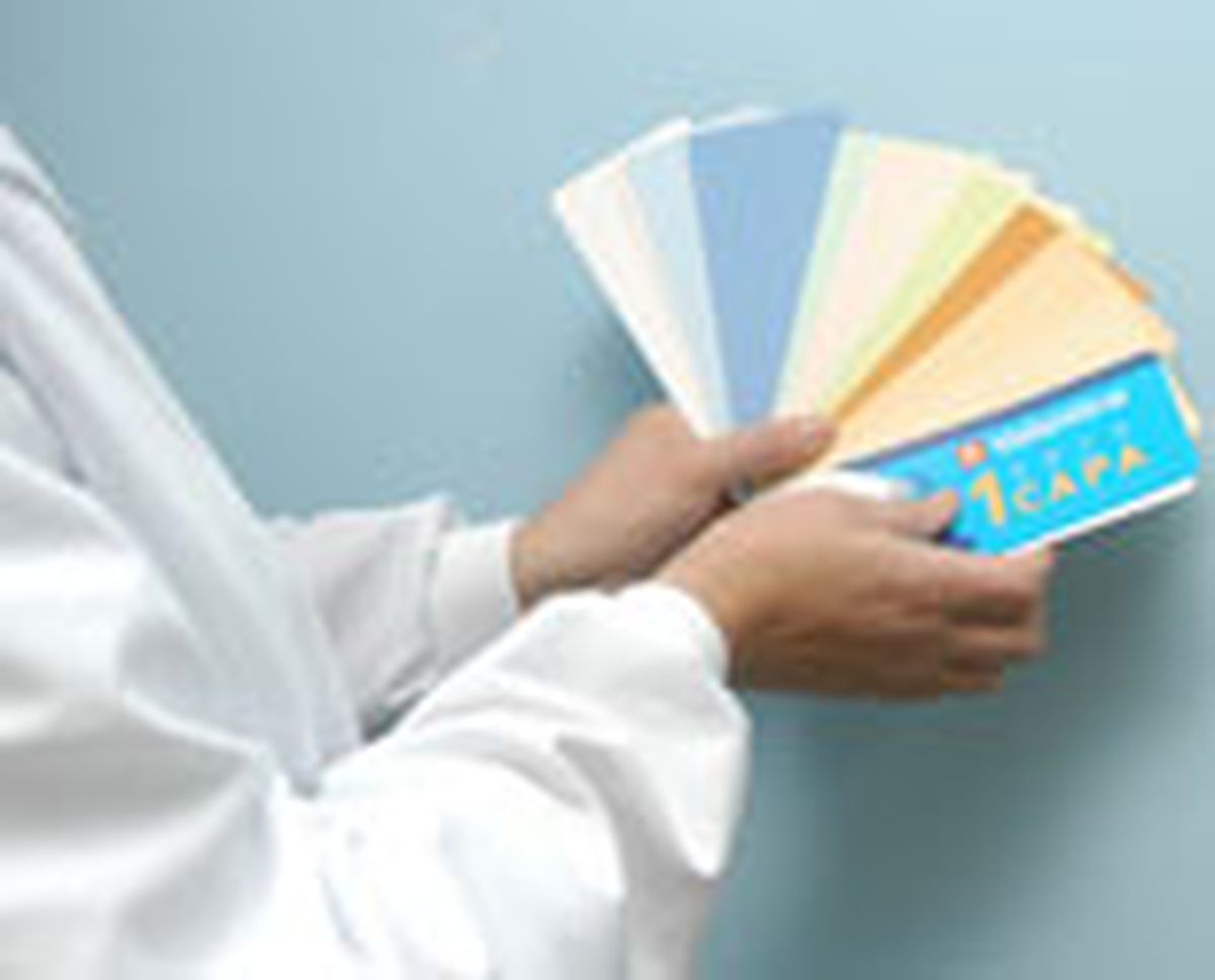 363 pintura monocapa p6