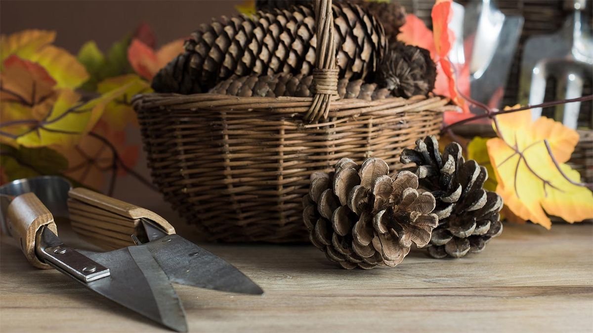 tareas jardin noviembre