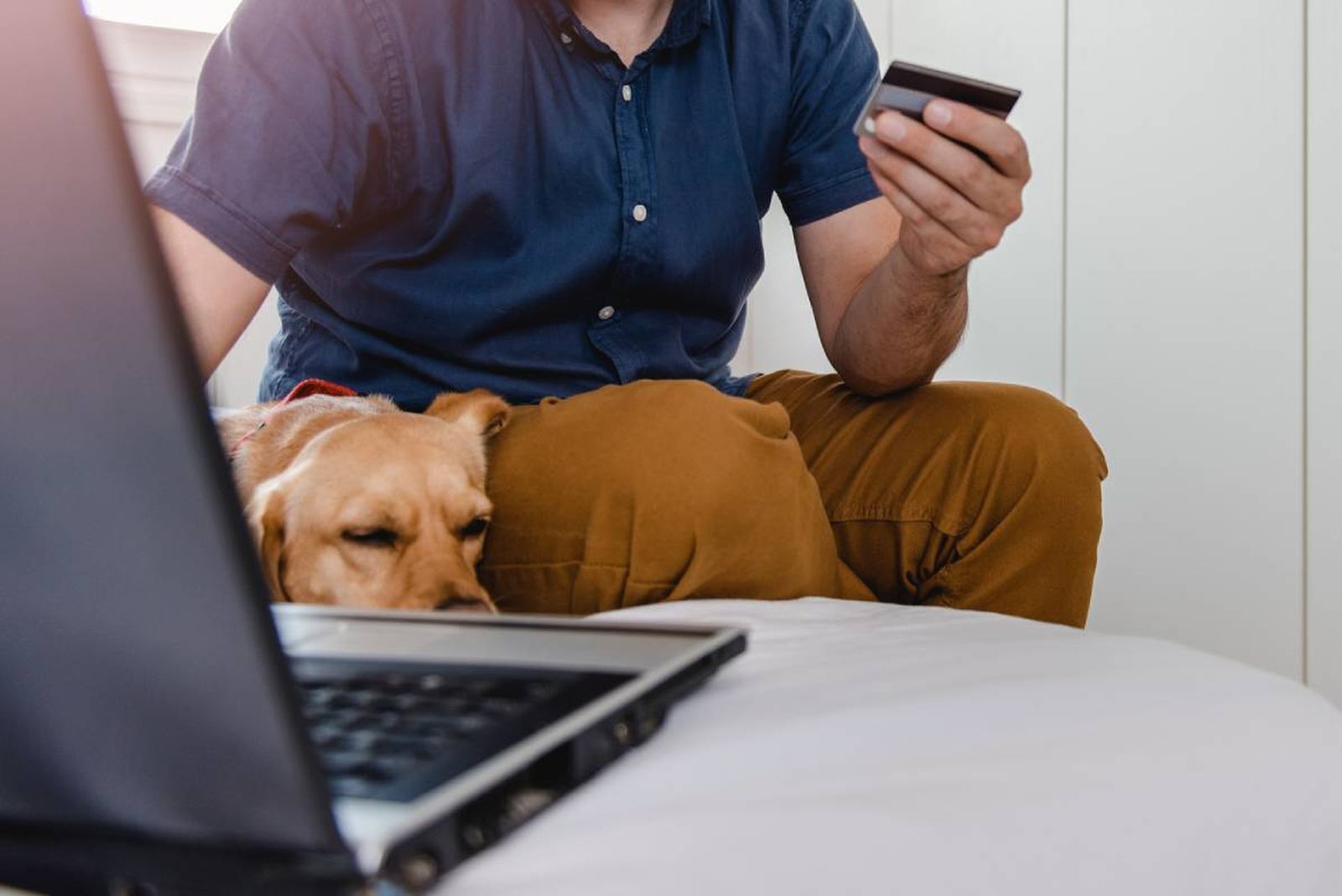 alojamientos dogfriendly admiten mascotas reservas suplemento