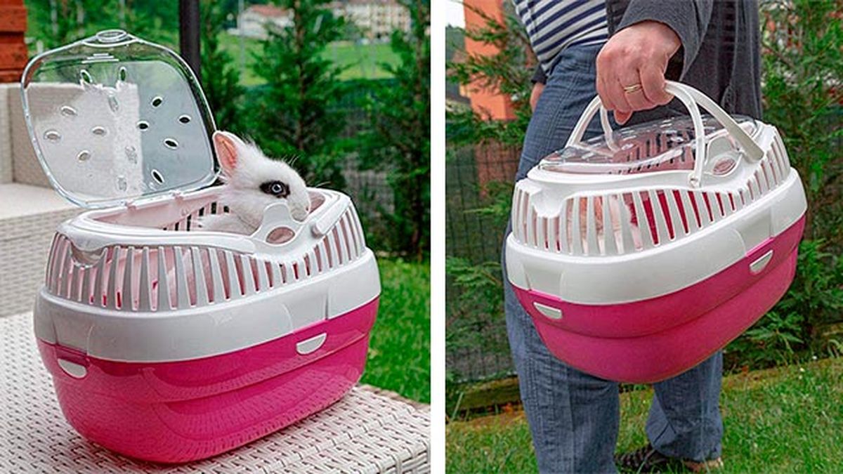 cuidados consejos conejos transportin