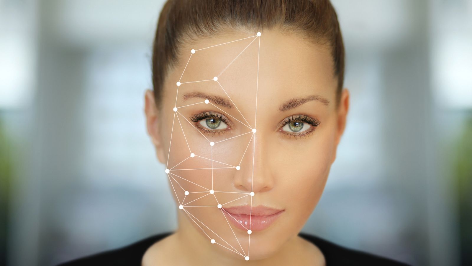 el numero de Oro o phi portada