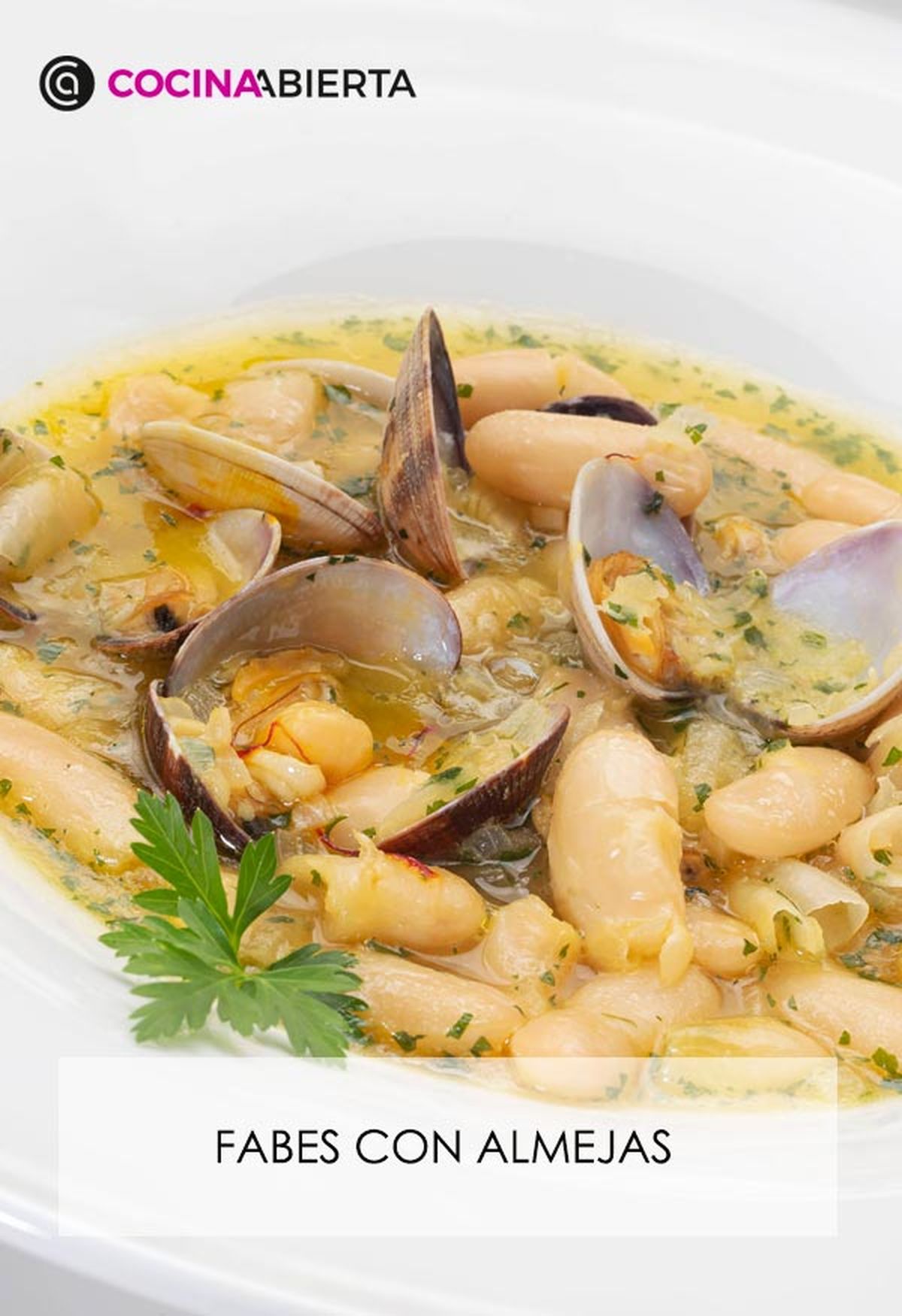 karl6641 fabes almejas v