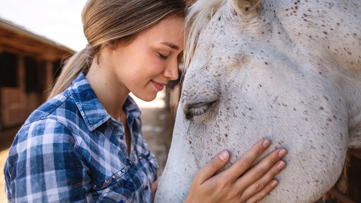 animales adecuados terapia asistida 1