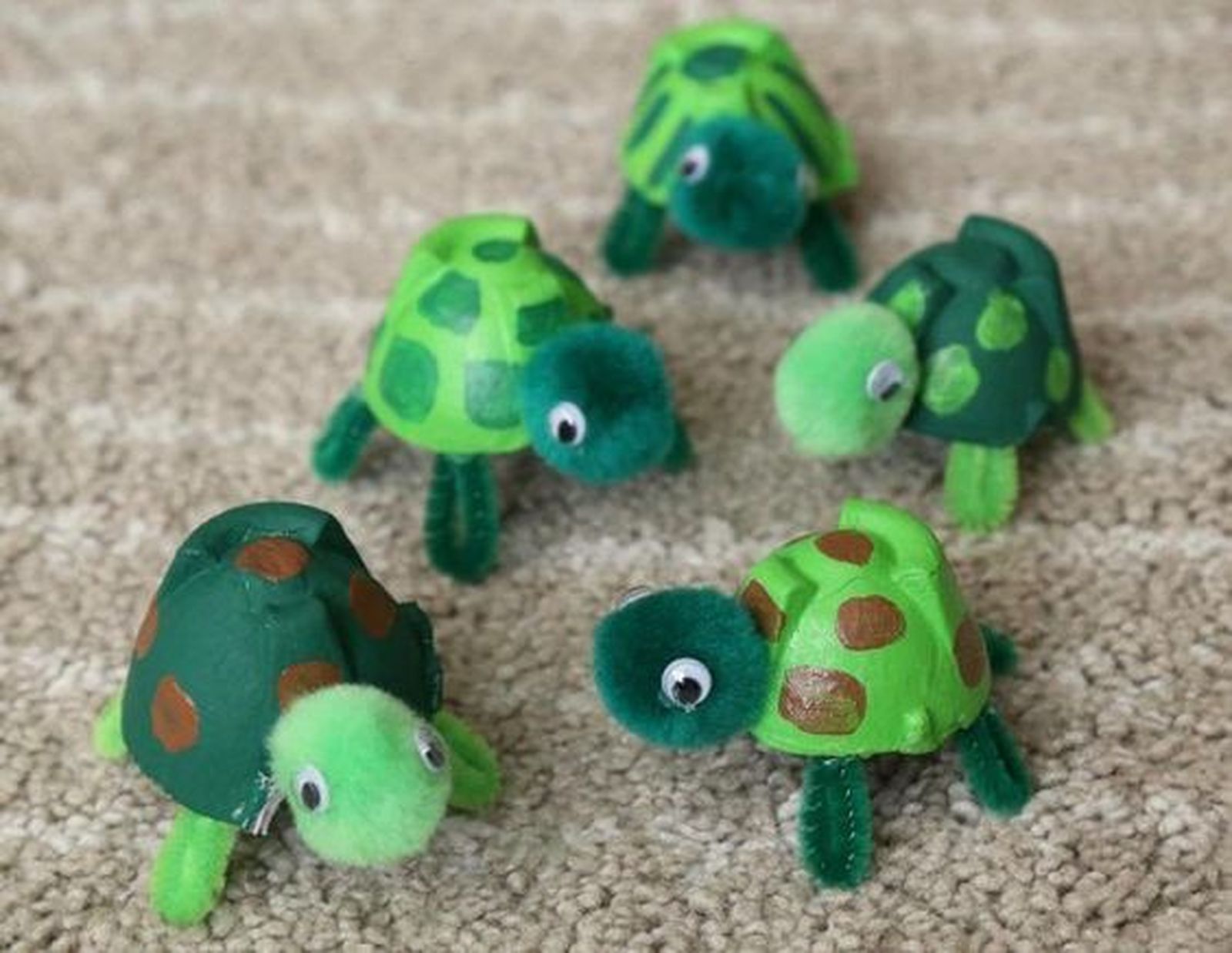 1 tortugas con hueveras