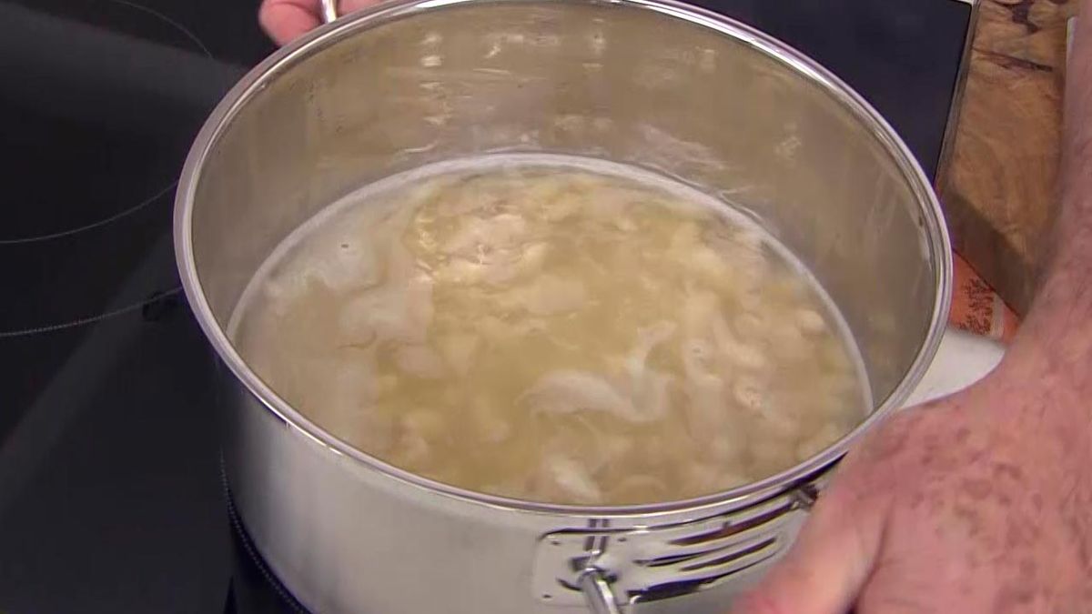 karl6641 fabes almejas p2