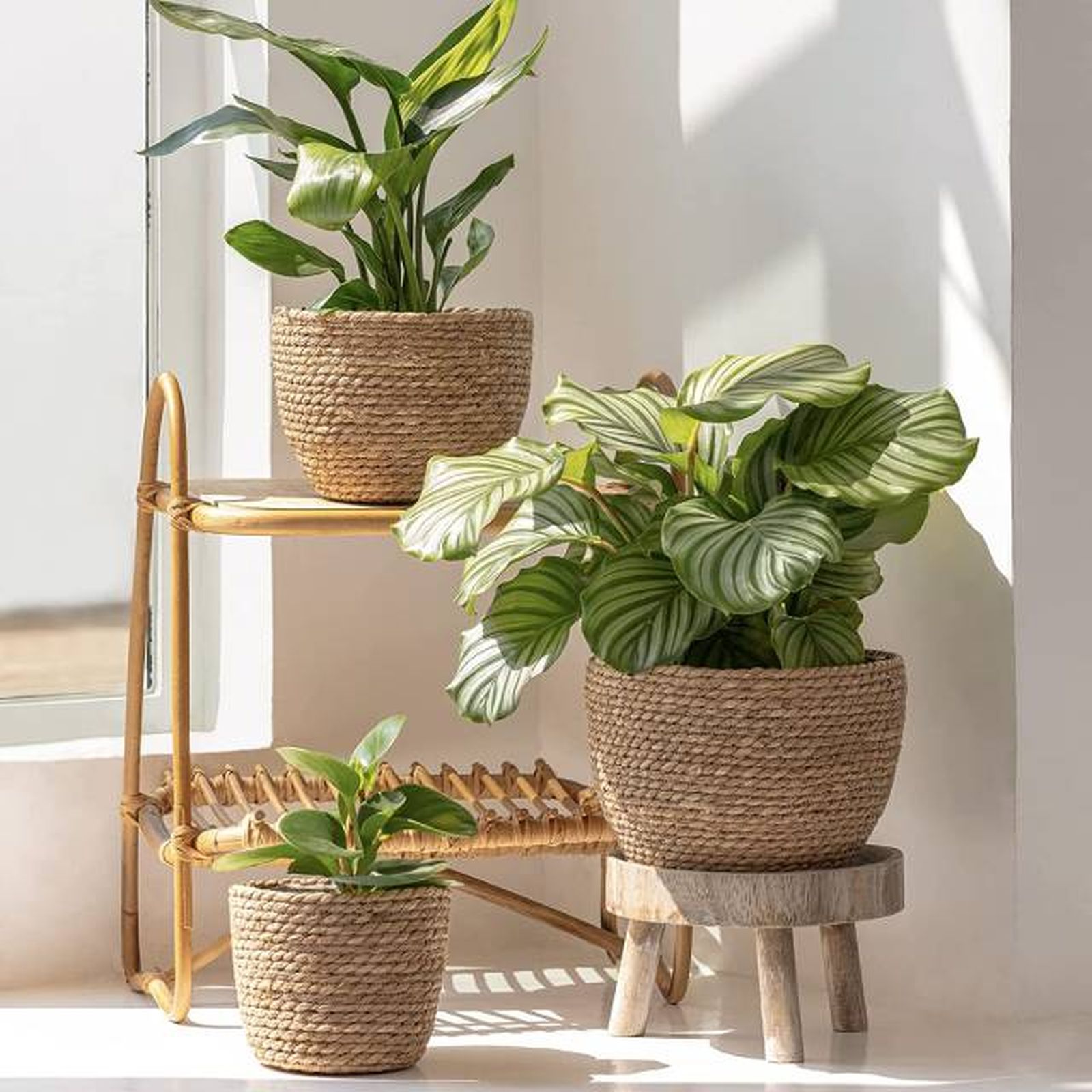 set 3 macetas fibras naturales amazon