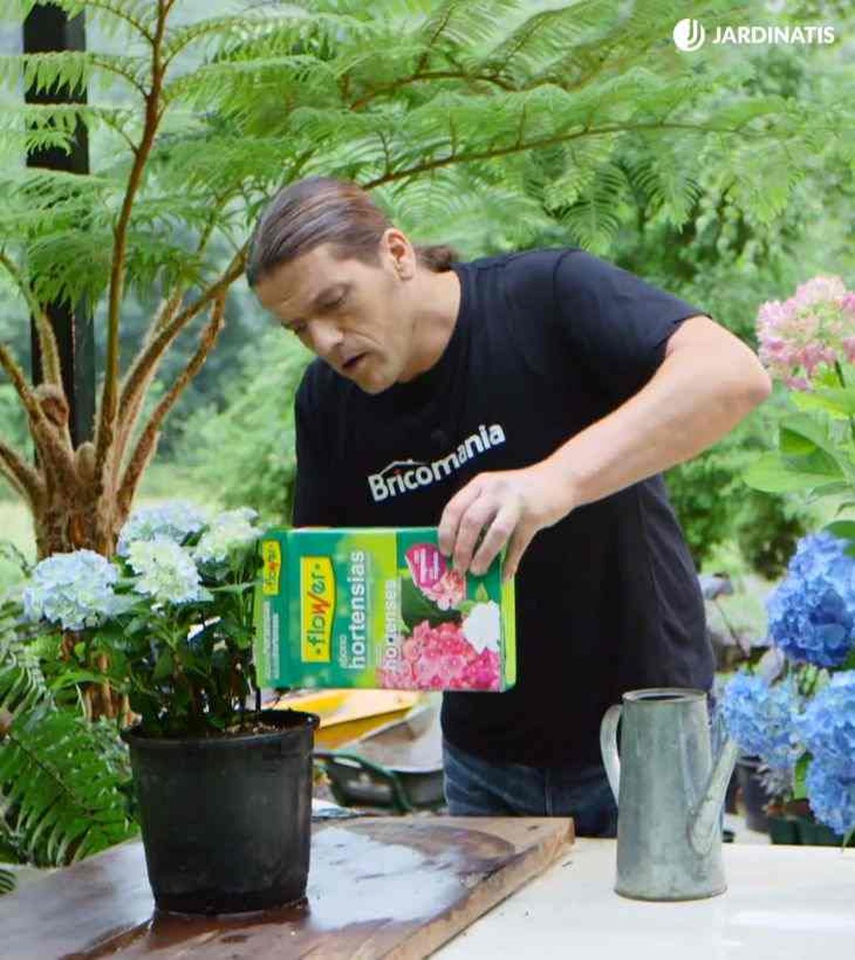 abono para hortensias brico 917