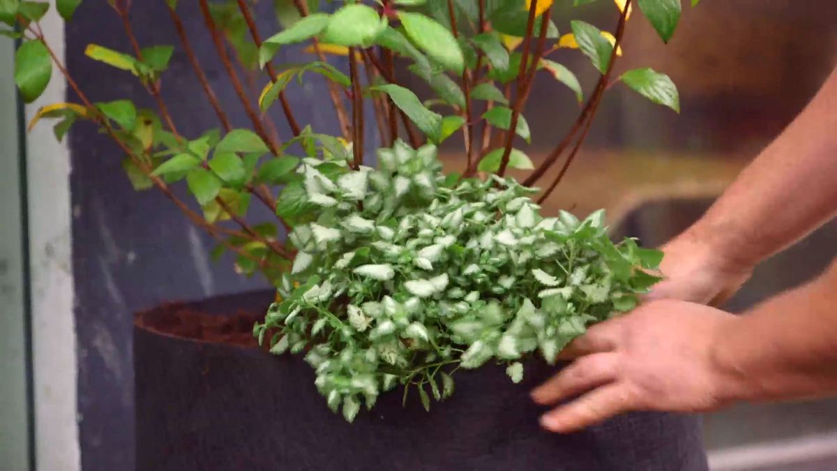 brico 0927 3 jardinera tela paso 3