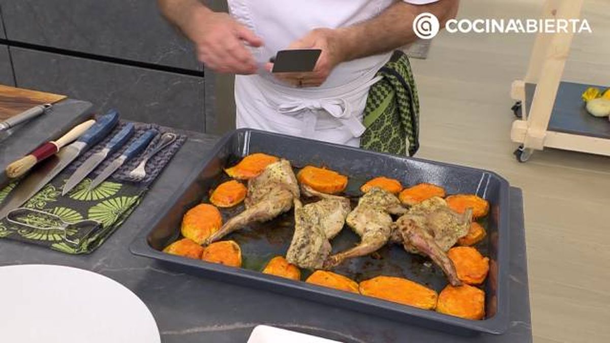 karl7226 conejo boniato p3