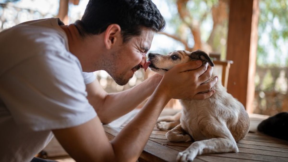 nombres para perros bonitos y originales 3
