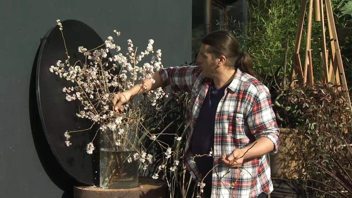 Deco723 jardineria composicion ramas cerezo