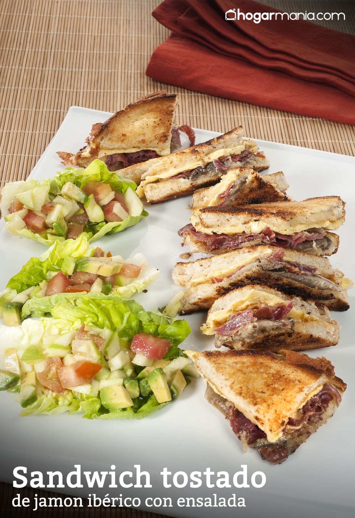 CABI0023 Amaia Sandwich tostado de jamon iberico con ensalada vertical xl