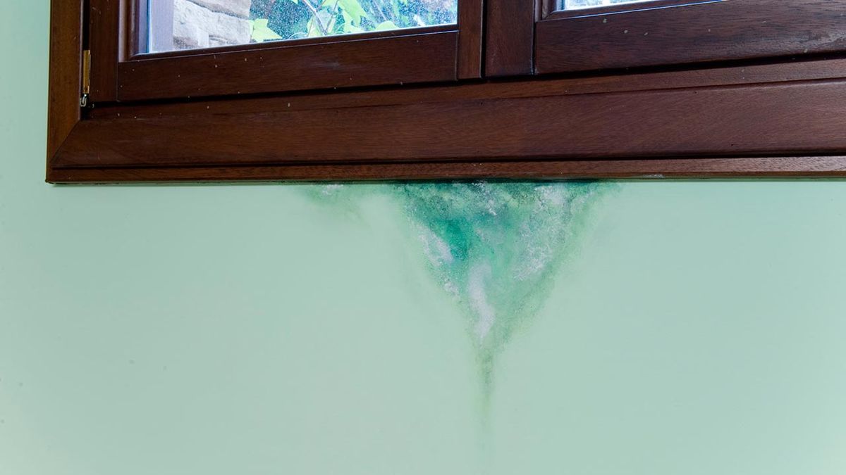 Eliminar mancha de humedad