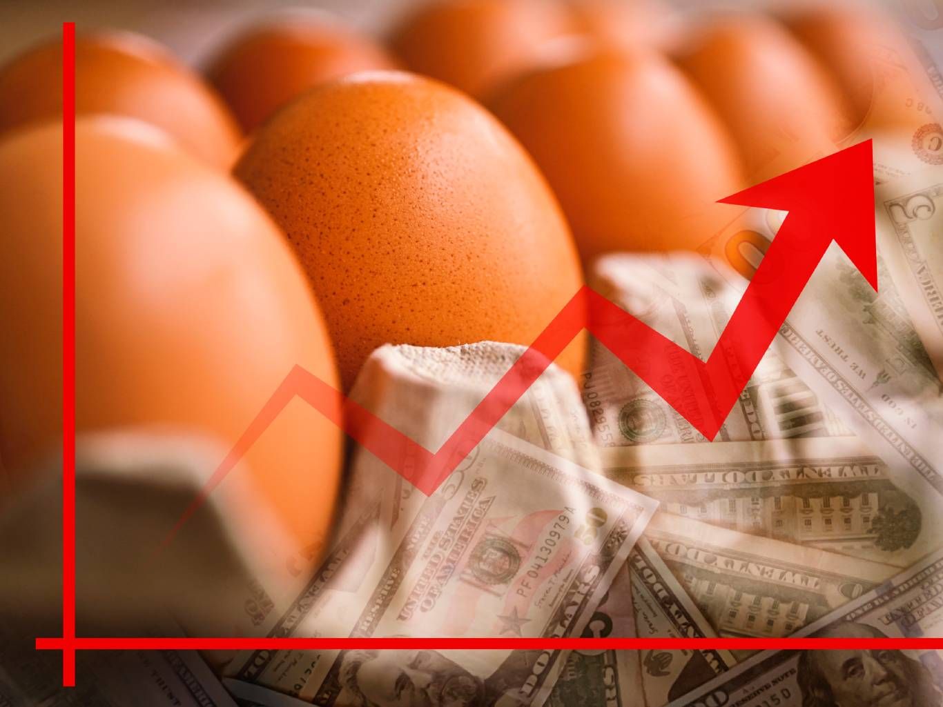 Los huevos medianos son los más afectados por la subida
