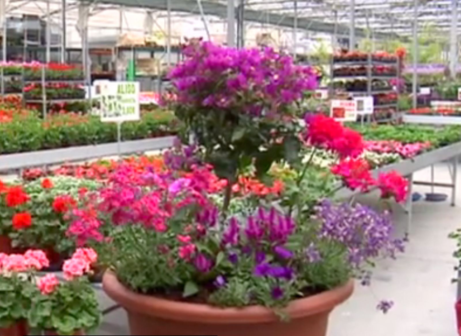 Composición floral para el verano